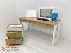 Профессиональный стол логопеда Logo Edu 48038