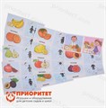 Логопедические карточки Речевые карточки. Описательные загадки. Фрукты 116612